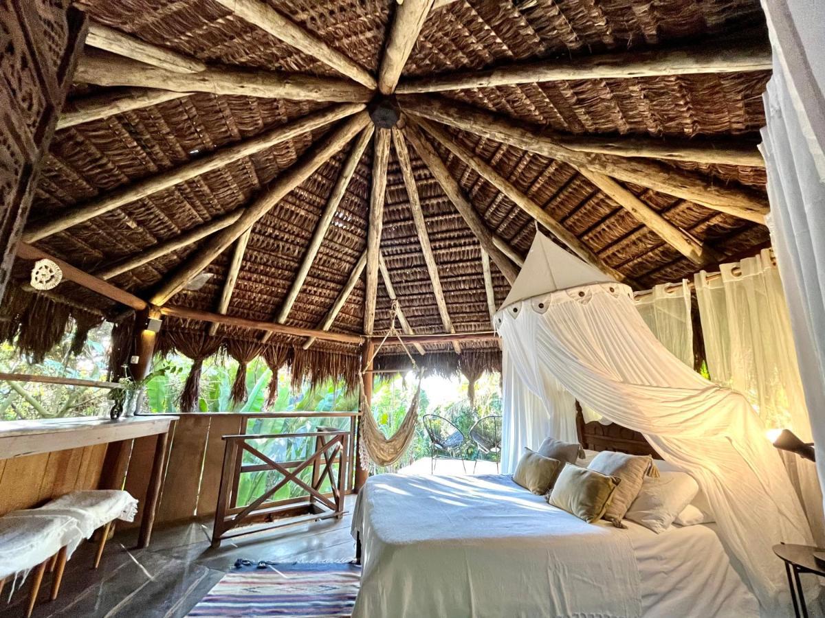 Jungle Lodge Abraão Exteriör bild