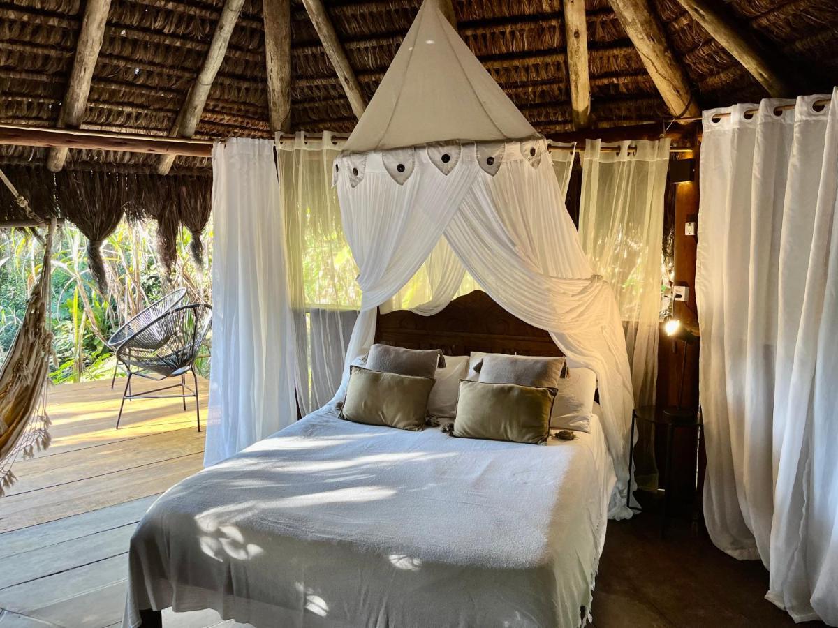 Jungle Lodge Abraão Exteriör bild