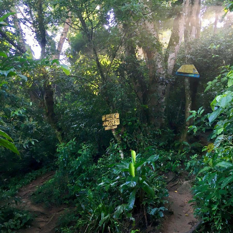 Jungle Lodge Abraão Exteriör bild