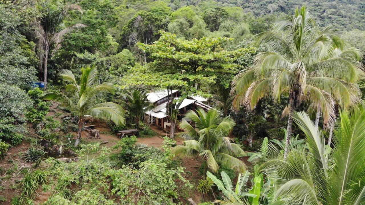 Jungle Lodge Abraão Exteriör bild